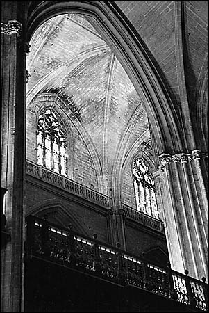 Cathedral Arches