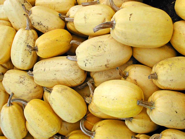 yellow gourds